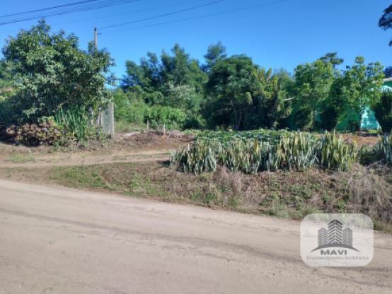 Terreno em Linha Nova 