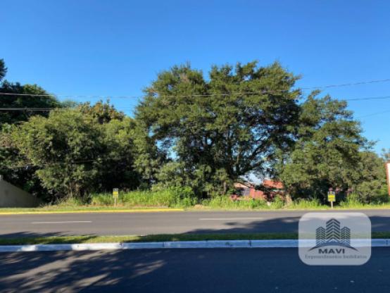 Terreno na Av. Bom Jardim Bairro Cidade Nova