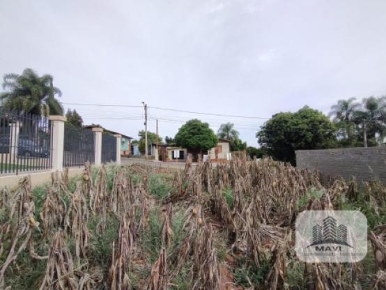 Terreno de 492m² no Bairro Palmares