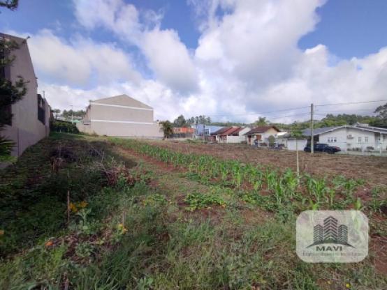 Terreno no Bairro Jardim Panorâmico, 905m²