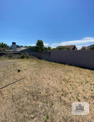 Terreno a venda no bairro 7 de setembro