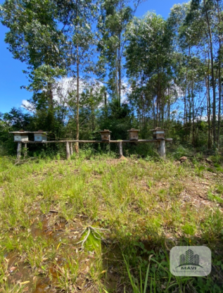 Chácara em Presidente Lucena