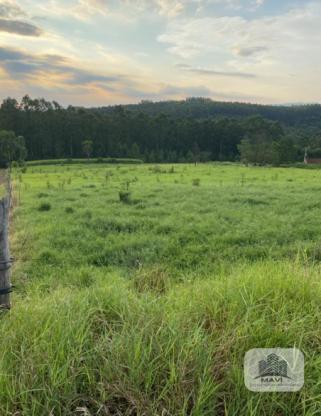 Área de terras em Lindolfo Collor, 4.000m²