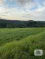 Área de terras em Lindolfo Collor, 4.000m²