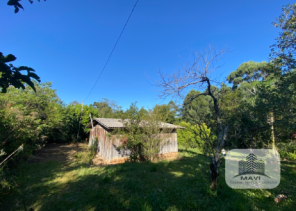 Área de terras a venda em Presidente Lucena, 3 hectares