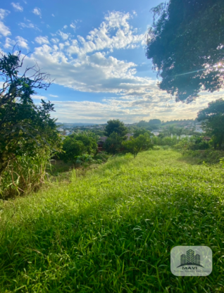 Terreno no Bairro Floresta, 433m²