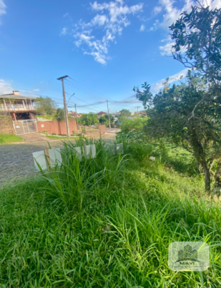 Terreno no Bairro Floresta, 433m²