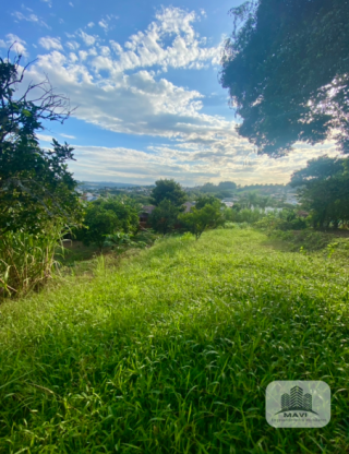 Terreno no Bairro Floresta, 433m²