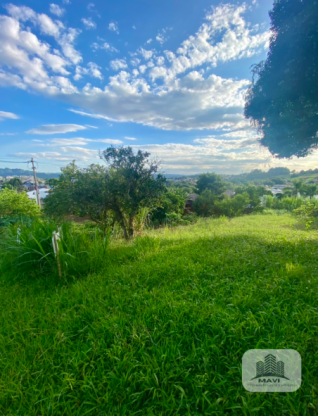 Terreno no Bairro Floresta, 433m²
