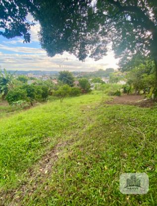 Terreno no Bairro Floresta, 433m²