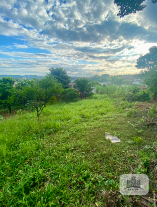 Terreno no Bairro Floresta, 433m²