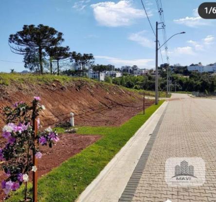 Jardim das Palmeiras Loteamento