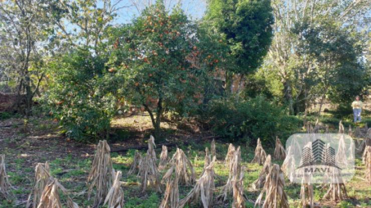 Lote de Terra/ Morada do sol