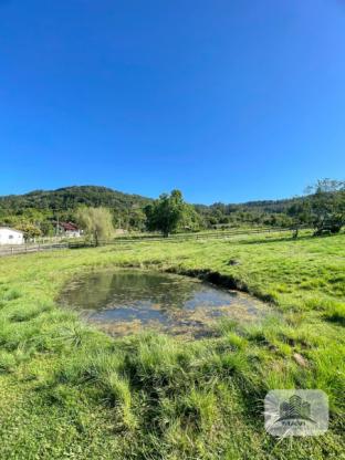 Sítio em Picada Schneider 