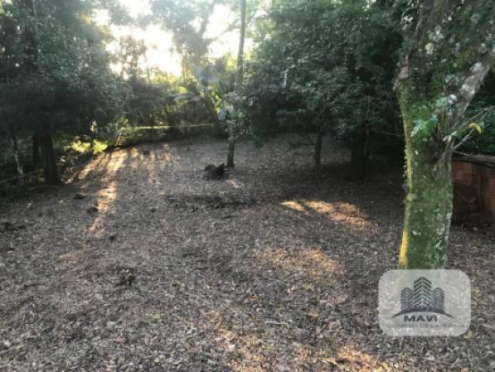 Terreno no bairro Cidade Nova