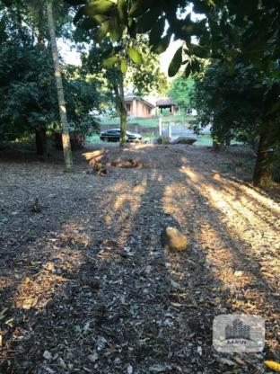 Terreno no bairro Cidade Nova