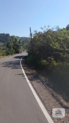 Área de terras a venda em Portão 2,4 Hectares