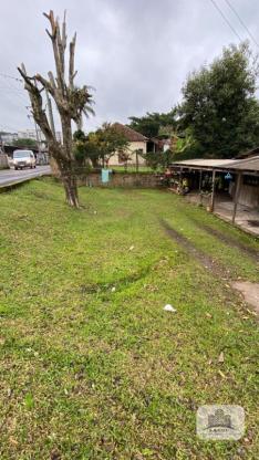 Terreno de esquina a venda em Ivoti, 323m²