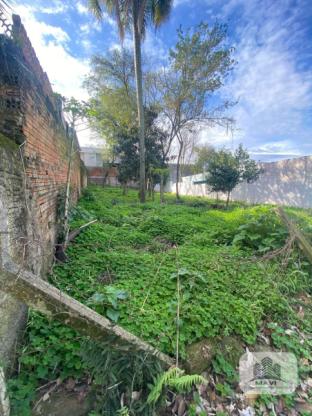 Terreno a venda no Bairro Cidade Nova, 400m²