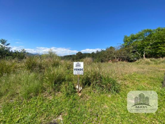 Terreno Lindolfo Collor