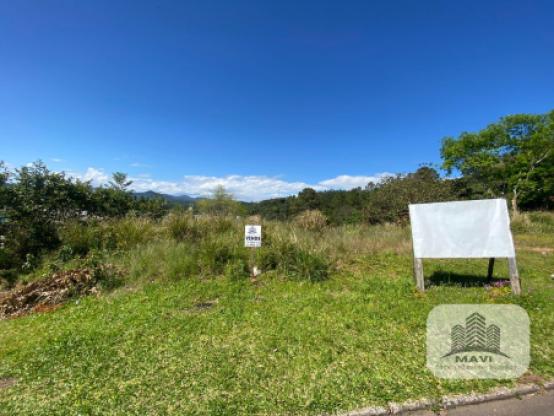 Terreno Lindolfo Collor