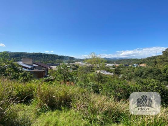 Terreno Lindolfo Collor