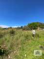 Terreno Lindolfo Collor