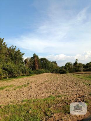 Sitio a venda em São José do Hortêncio, 2.500m²