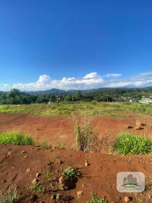 Terreno a venda em Ivoti no Bairro Palmares, 1.161m²