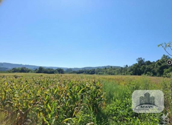 Áreas de terra a venda em Presidente Lucena, Morro do Pedro